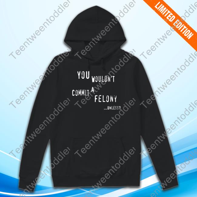 You Wouldn't Commit A Felony Unless Hoodie